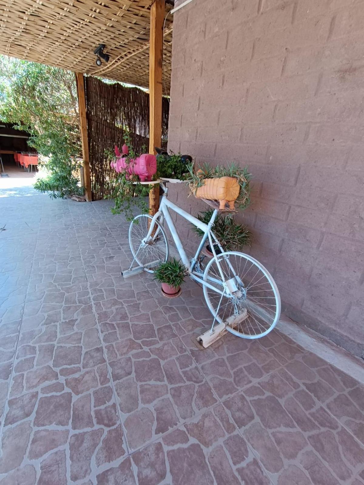 Hostal Km Zero El Huertillo San Pedro de Atacama Exteriér fotografie